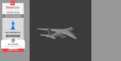 Antonov An-124 Plane