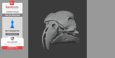 African Grey Parrot Skull