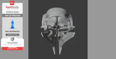 African Grey Parrot Skull