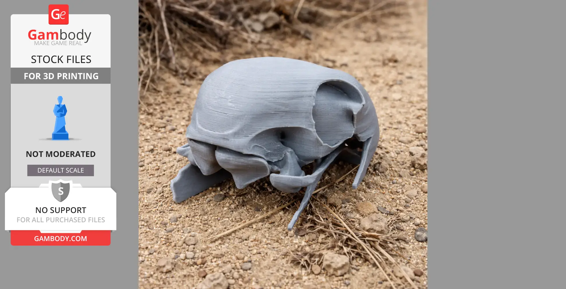 3D printed African Grey parrot skull on sandy ground.