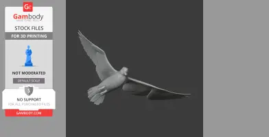 Auk
