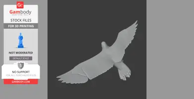 Auk