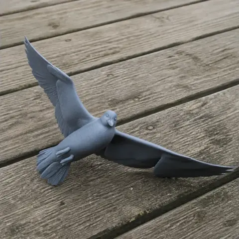 Auk