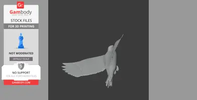 Auk