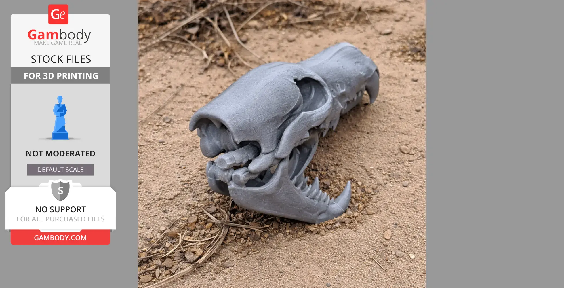 A 3D-printed African wolf skull model resting on sandy ground.