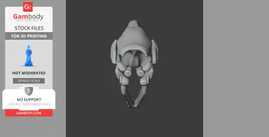 African Wolf Skull