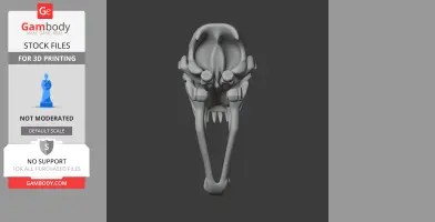 African Wolf Skull