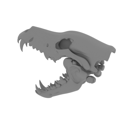 African Wolf Skull.stl