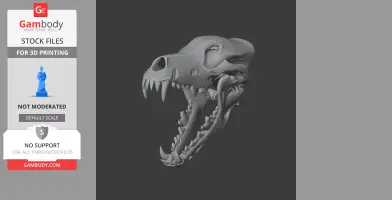 African Wolf Skull