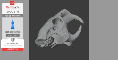 Alpaca Skull