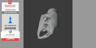 Alpaca Skull