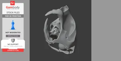 Alpaca Skull