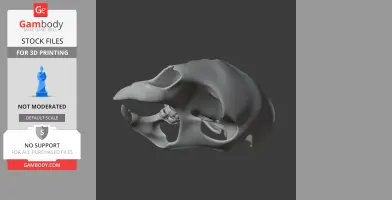 Alpaca Skull