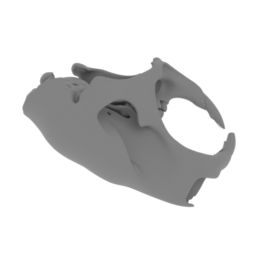 Alpaca Skull.stl
