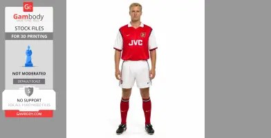 Dennis Bergkamp Figurine