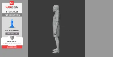 Didier Drogba Figurine