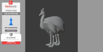 Cassowary