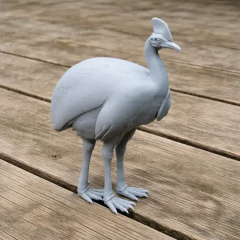 Cassowary