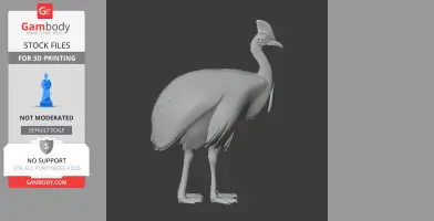 Cassowary