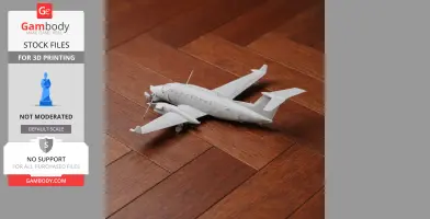 Beechcraft King Air Plane