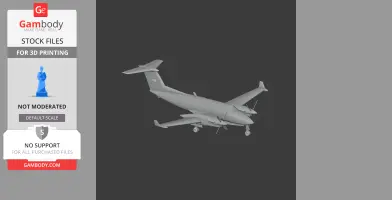 Beechcraft King Air Plane