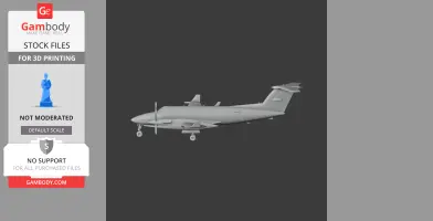 Beechcraft King Air Plane
