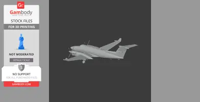 Beechcraft King Air Plane