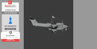 Beechcraft King Air Plane
