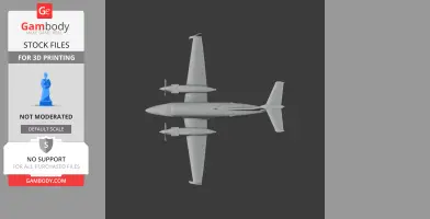 Beechcraft King Air Plane