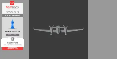 Beechcraft King Air Plane