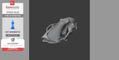 American Mink Skull