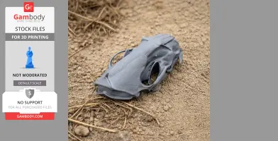 American Mink Skull