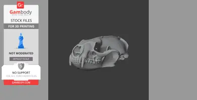 American Mink Skull
