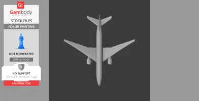 Boeing 767 Plane