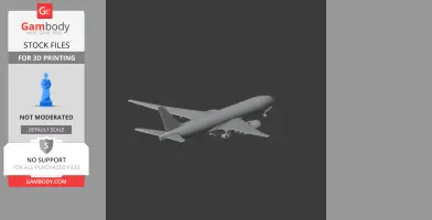 Boeing 767 Plane