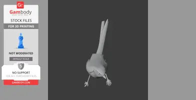 Cettia Bush Warbler Bird