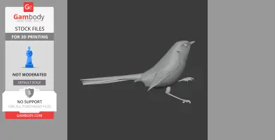 Cettia Bush Warbler Bird