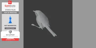 Cettia Bush Warbler Bird