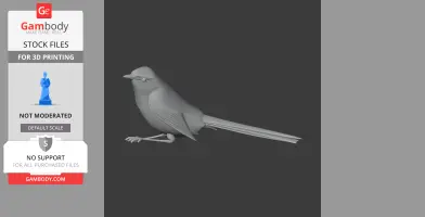 Cettia Bush Warbler Bird