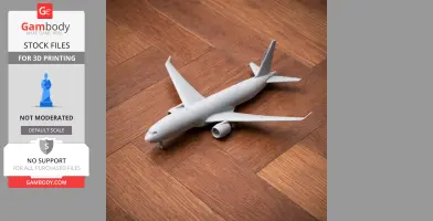 Boeing 787 Dreamliner Plane