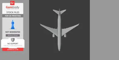 Boeing 787 Dreamliner Plane
