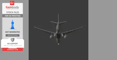 Boeing 787 Dreamliner Plane