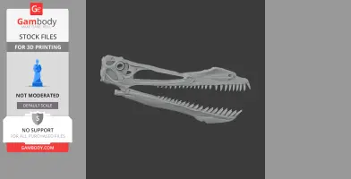 Anhanguera Skull