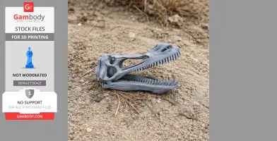 Anhanguera Skull