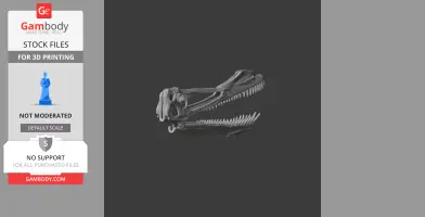 Anhanguera Skull