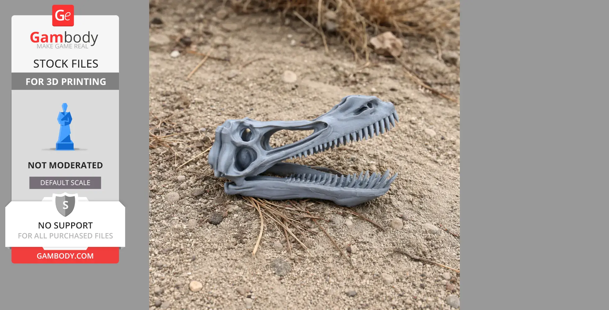 3D-printed Anhanguera skull model resting on sandy ground.