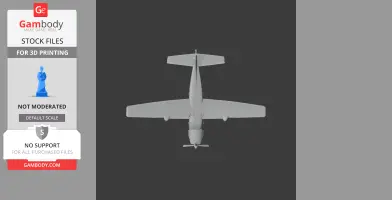 Cessna 208 Caravan Plane