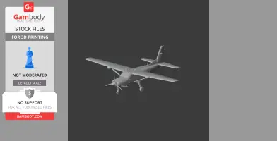Cessna 208 Caravan Plane