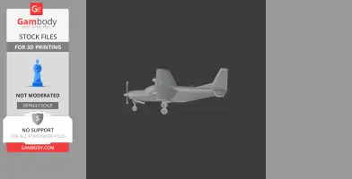 Cessna 208 Caravan Plane