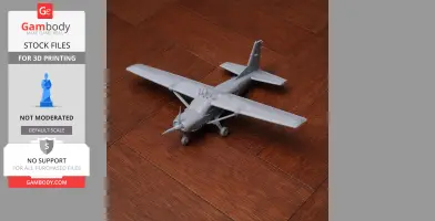 Cessna 208 Caravan Plane